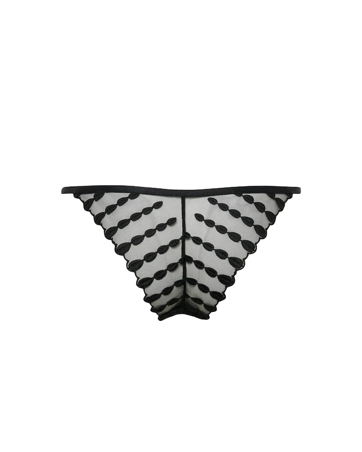 GENEVA ECO BRIEF