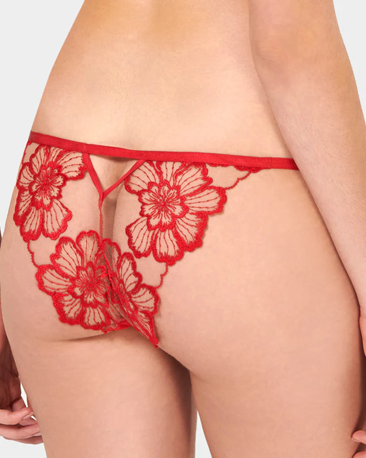 CATALINA BRIEF