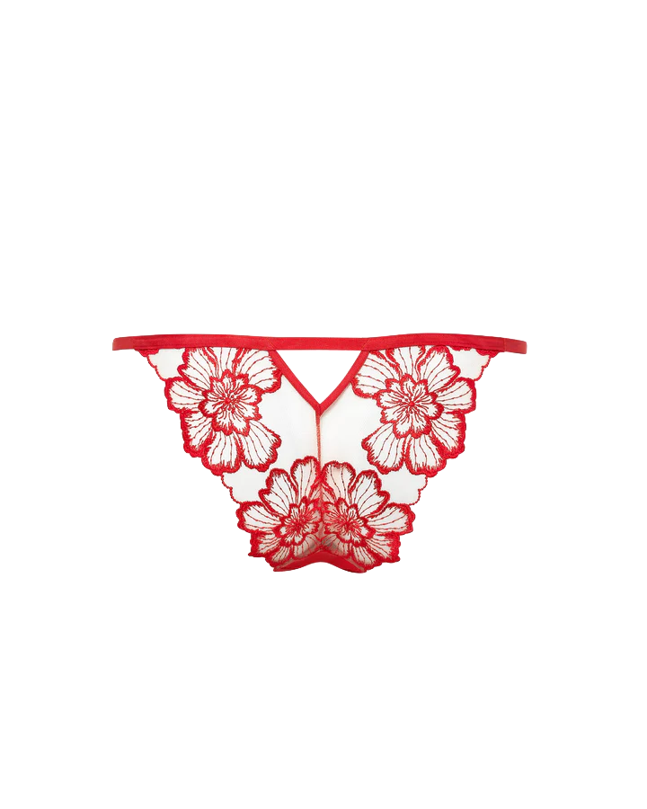 CATALINA BRIEF