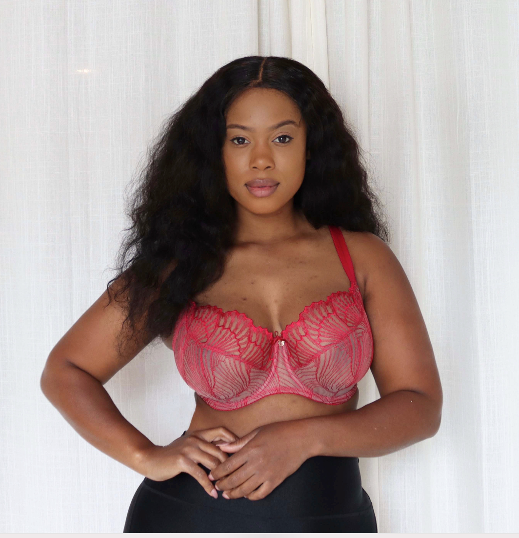 SCARLET LACE BRA - Expect Lace