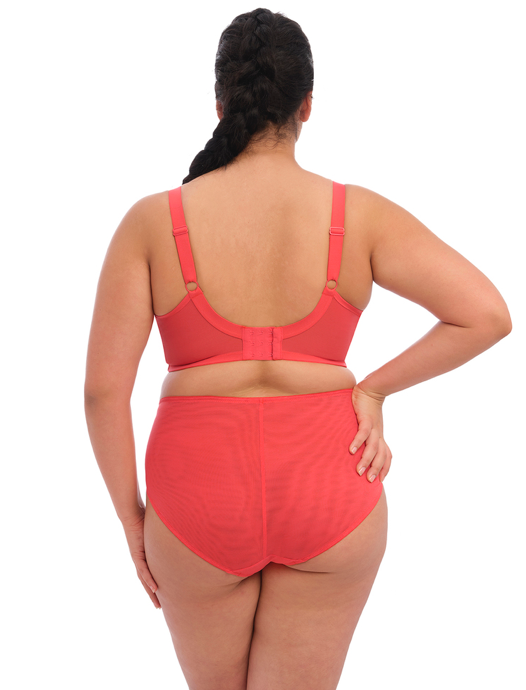 BRIANNA FULL BRIEF - Expect Lace