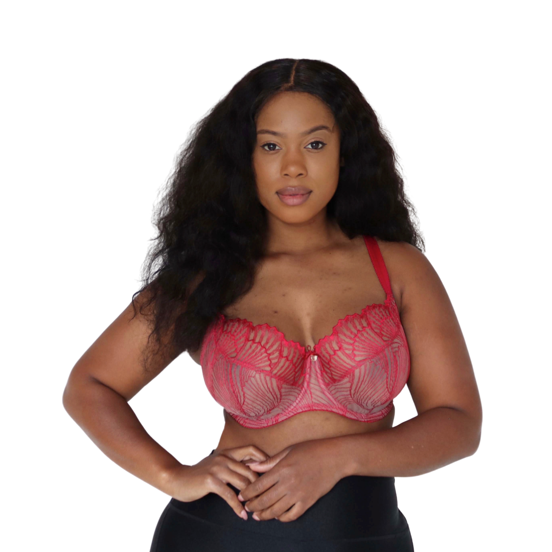 SCARLET LACE BRA - Expect Lace
