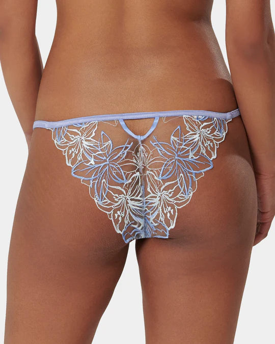 LILLY BRIEF