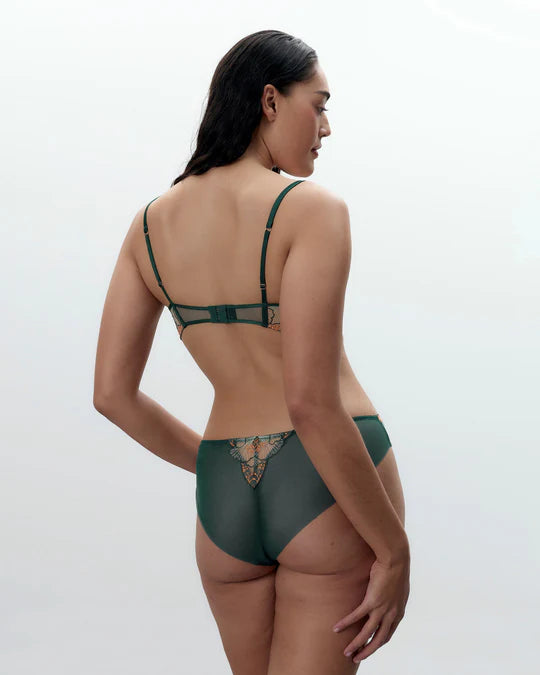 GIANNA BRIEF