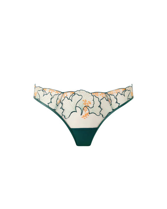 GIANNA BRIEF