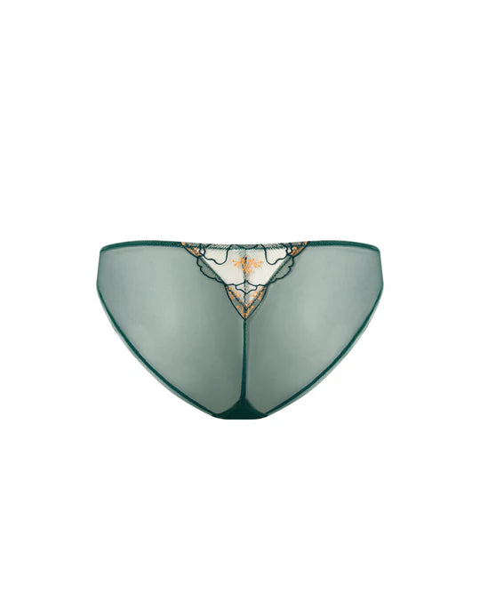 GIANNA BRIEF