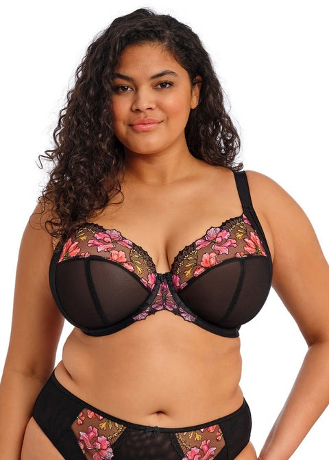TEAGAN RAINBOW UW PLUNGE BRA