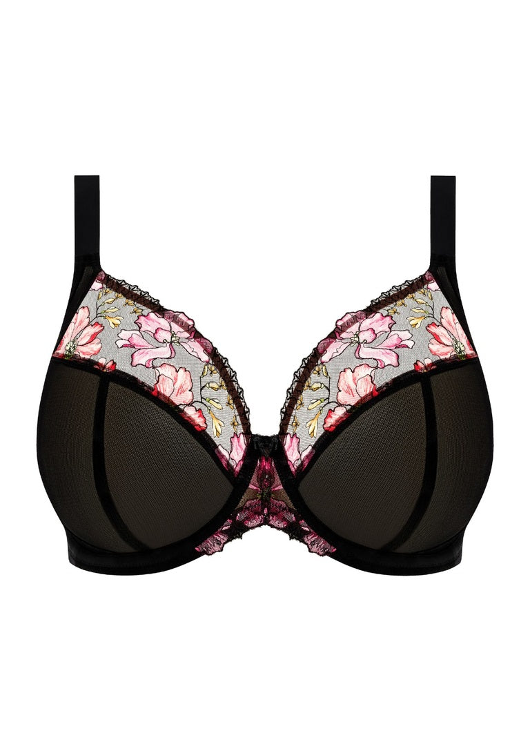 TEAGAN RAINBOW UW PLUNGE BRA