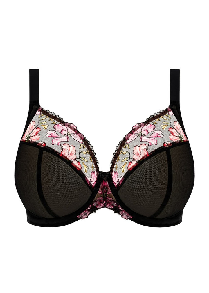TEAGAN RAINBOW UW PLUNGE BRA