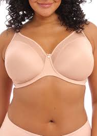 ELOMI SMOOTH BRA