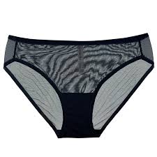 SPELLBOUND MESH PANTY