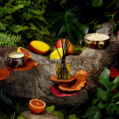 GOJI TAROCCO ORANGE MACARON CANDLE - Expect Lace