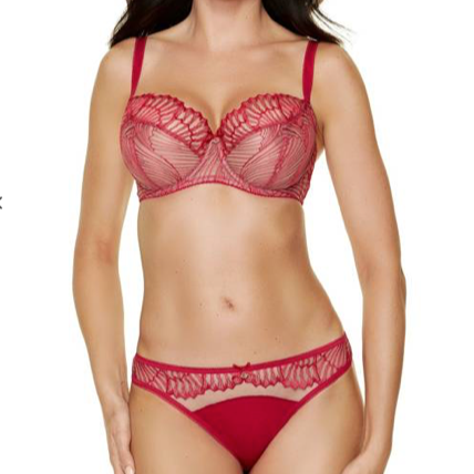 SCARLET LACE BRA - Expect Lace